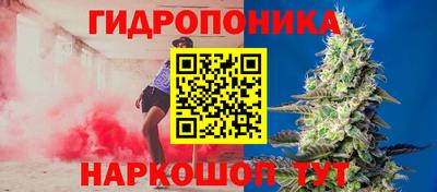 прущие грибы Волжский