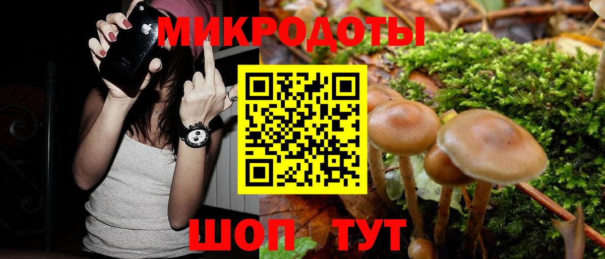 Псилоцибиновые грибы GOLDEN TEACHER Приморско-Ахтарск